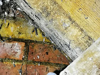 Woodworm Services, we treat woodworm across the South West of England, including Devon, Cornwall and Somerset.