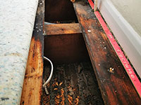 Woodworm Services, we treat woodworm across the South West of England, including Devon, Cornwall and Somerset.