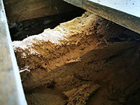 Woodworm Services, we treat woodworm across the South West of England, including Devon, Cornwall and Somerset.