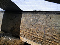 Woodworm Services, we treat woodworm across the South West of England, including Devon, Cornwall and Somerset.